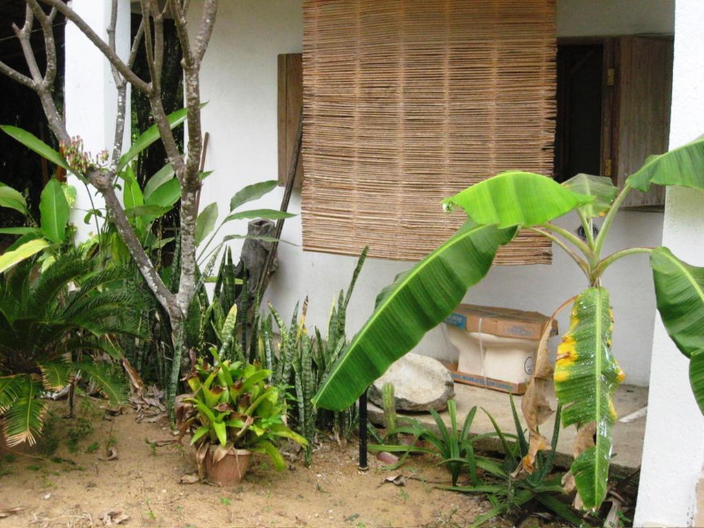 Los Metates Hotel Zipolite Exterior photo